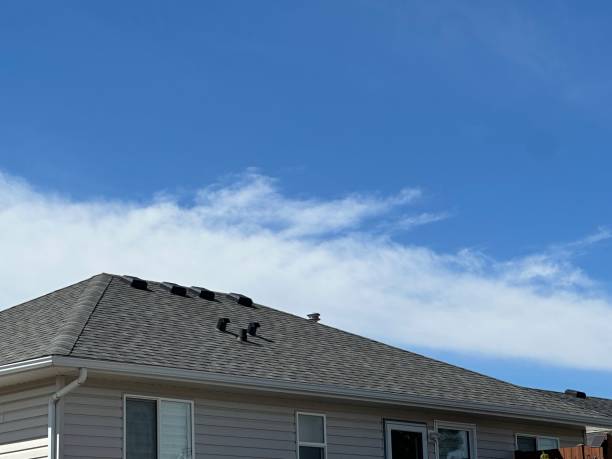 Best Wood Shake Roofing  in Hallsville, MO